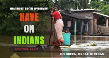 Environmental Influence: Shaping India's Culture, History, and Daily Life