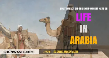 Arabia's Environment: Shaping Life, Culture, and Survival in the Desert
