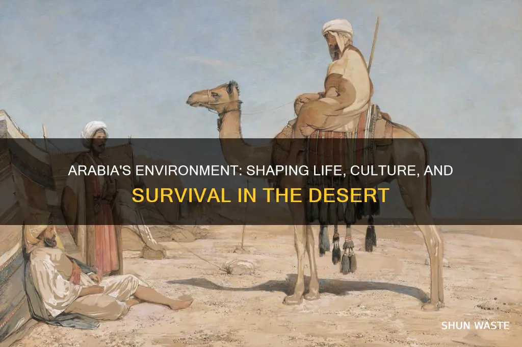 what impact did the environment have on life in arabia