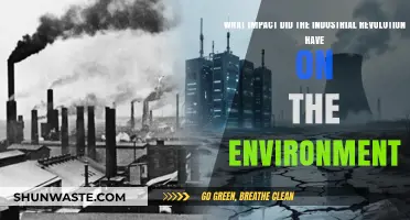 Industrial Revolution's Environmental Toll: Pollution, Deforestation, and Climate Change