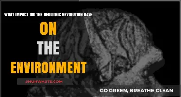 Neolithic Revolution's Environmental Transformation: Shaping Landscapes and Ecosystems