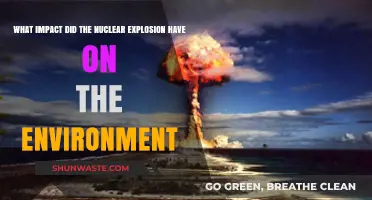 Nuclear Explosions: Devastating Environmental Consequences and Long-Term Effects