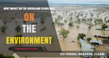 Queensland Floods: Environmental Aftermath and Ecosystem Resilience Explored