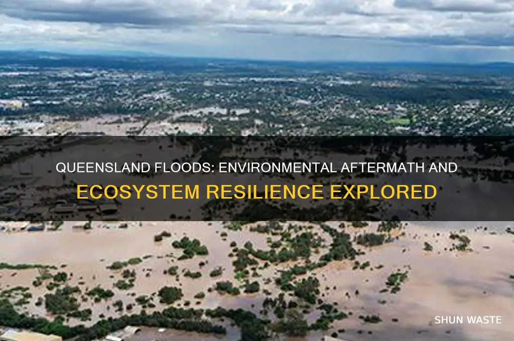 what impact did the queensland floods have on the environment