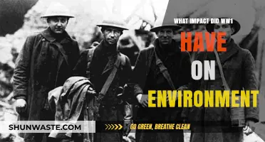 World War I's Devastating Environmental Legacy: A Global Perspective