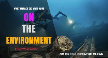 WWII's Environmental Legacy: Devastation, Resilience, and Lasting Ecological Impacts