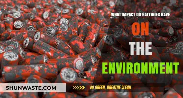 Environmental Impact of Batteries: Sustainable Solutions vs. Ecological Challenges