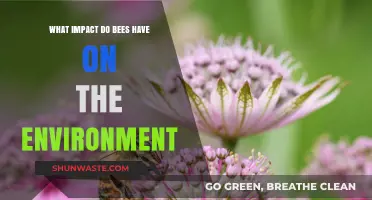Bees' Vital Role: Shaping Ecosystems and Sustaining Our Environment