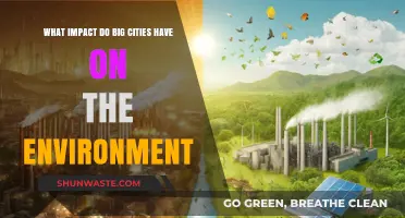 Urban Giants: How Big Cities Shape Our Environment and Future