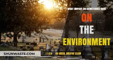 Cemeteries' Environmental Footprint: Impact, Sustainability, and Green Burial Options