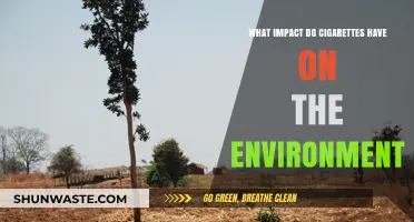 Cigarettes' Environmental Toll: Pollution, Waste, and Ecosystem Destruction Explained