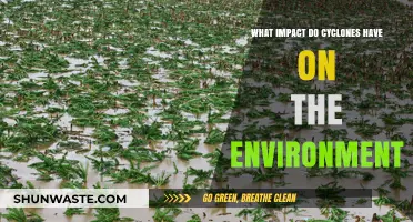 Cyclones' Environmental Toll: Devastation, Ecosystem Disruption, and Long-Term Effects