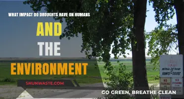 Droughts' Devastating Effects: Human Struggles and Environmental Consequences Explored