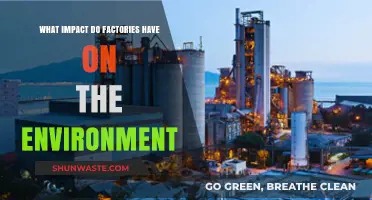 Factories' Environmental Footprint: Pollution, Climate Change, and Ecosystem Disruption