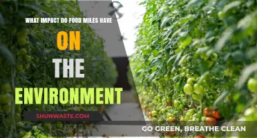 Food Miles and Their Environmental Impact: A Comprehensive Analysis