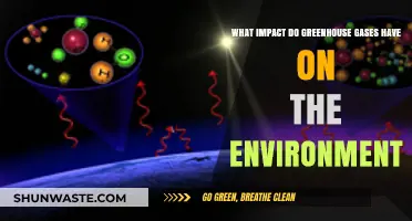Greenhouse Gases: Unraveling Their Devastating Environmental Impact and Consequences