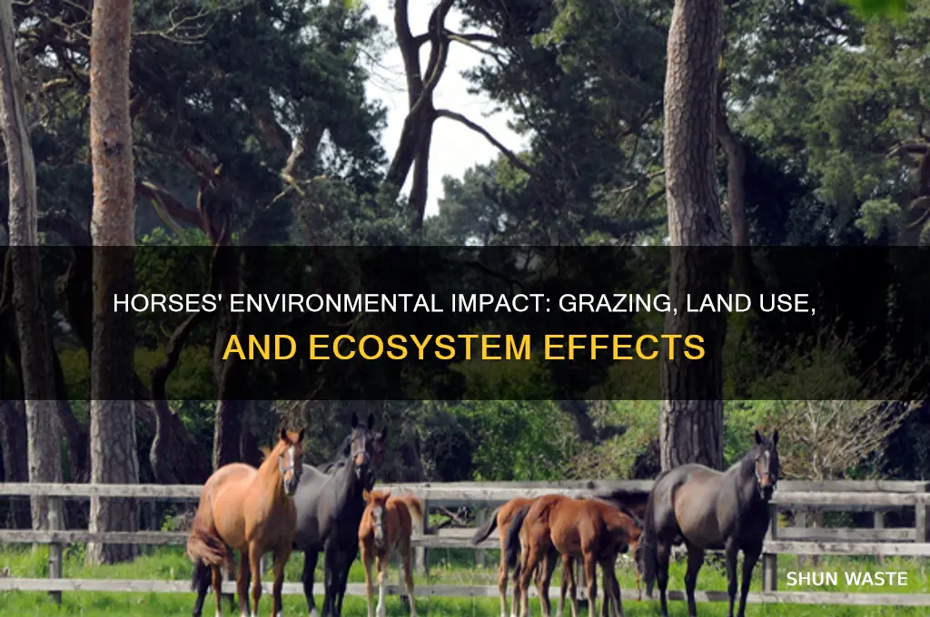 what impact do horses have on the environment