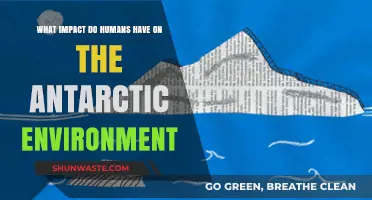 Human Activities and Their Environmental Impact on Antarctica