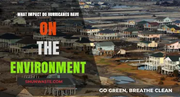Hurricanes' Environmental Impact: Destruction, Ecosystem Changes, and Long-Term Effects