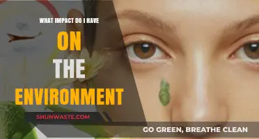 Understanding Your Personal Impact on the Environment: A Reflective Guide