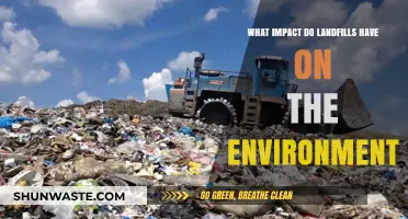 Landfills' Environmental Impact: Pollution, Wildlife Threats, and Climate Change
