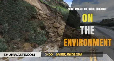 Landslides' Environmental Impact: Destruction, Erosion, and Ecosystem Disruption Explained