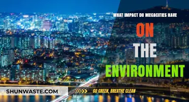 Megacities' Environmental Impact: Challenges and Sustainable Solutions Explored