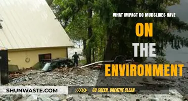 Mudslides' Devastating Environmental Impact: Erosion, Habitat Loss, and Ecosystem Disruption