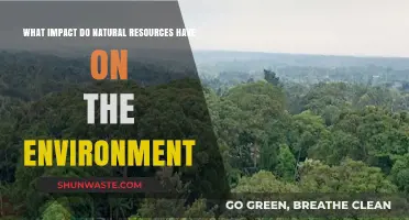 Natural Resources: Environmental Impact and Sustainable Management Strategies