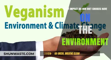 Diet Choices: Unveiling Their Environmental Impact and Sustainable Solutions