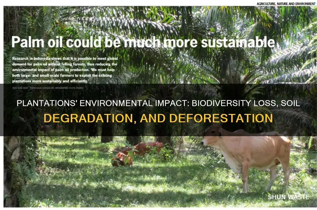 what impact do plantations have on the environment