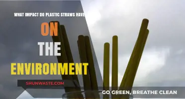 Plastic Straws' Environmental Impact: Harmful Effects and Sustainable Alternatives