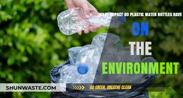 Plastic Water Bottles: Environmental Impact and Sustainable Alternatives