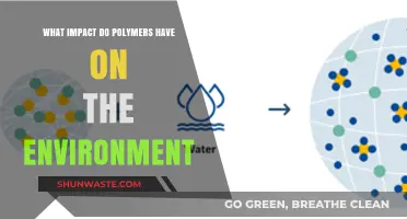 Polymers' Environmental Impact: Sustainability Challenges and Solutions Explored