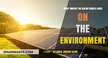 Solar Panels' Environmental Impact: Benefits, Challenges, and Sustainability Insights