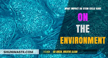 Stem Cells and Sustainability: Environmental Impacts and Future Prospects