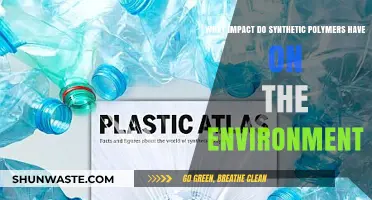 Synthetic Polymers' Environmental Impact: Pollution, Persistence, and Solutions