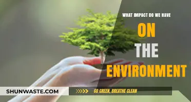 Human Footprint: Our Actions and Their Environmental Consequences Explored