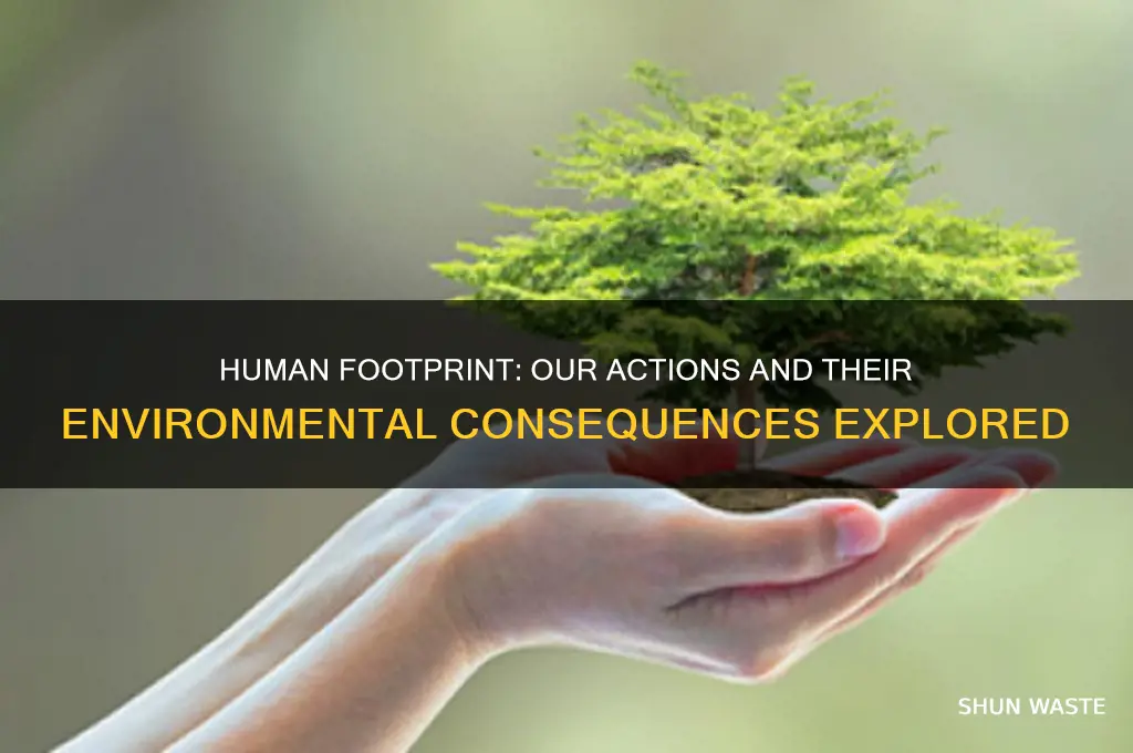 what impact do we have on the environment