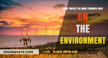 Wind Turbines: Environmental Impact, Benefits, and Sustainability Concerns Explored