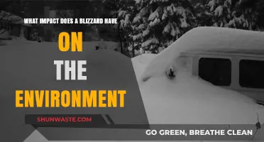 Blizzards' Environmental Impact: Uncovering Nature's Response to Extreme Winter Storms