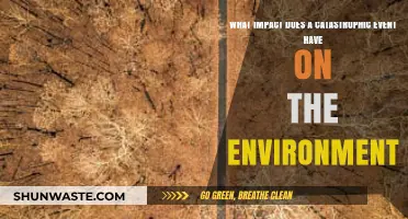 Catastrophic Events: Unraveling Their Devastating Environmental Consequences and Aftermath