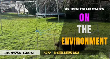 Sinkholes: Unseen Environmental Disruptors and Their Lasting Ecological Impacts