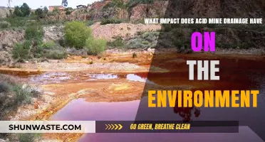 Acid Mine Drainage: Environmental Consequences and Ecosystem Threats Explained