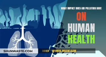 Air Pollution: Its Impact on Human Health