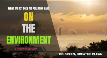 Air Pollution's Devastating Impact on Our Planet