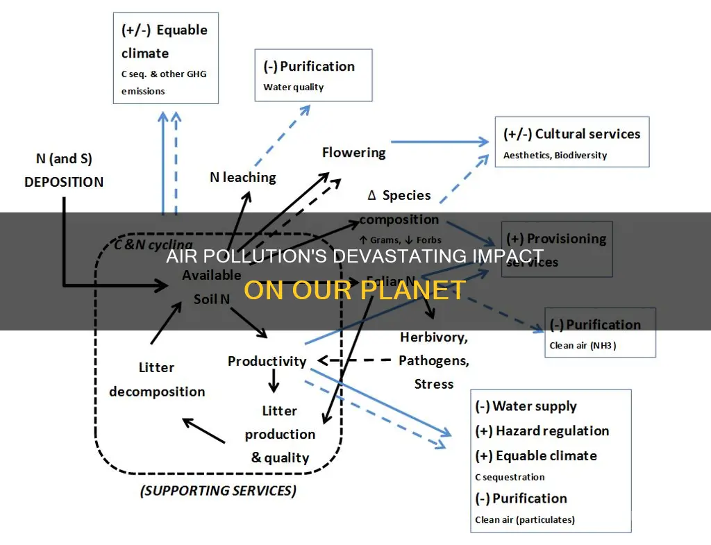 what impact does air pollution have on the environment