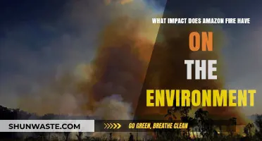 Amazon Fires: Devastating Environmental Impacts and Long-Term Consequences