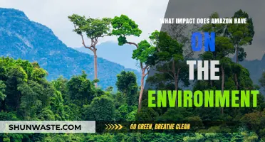 Amazon's Environmental Footprint: Unpacking Its Global Impact and Sustainability Efforts