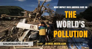 America's Pollution: Global Impact and Responsibility